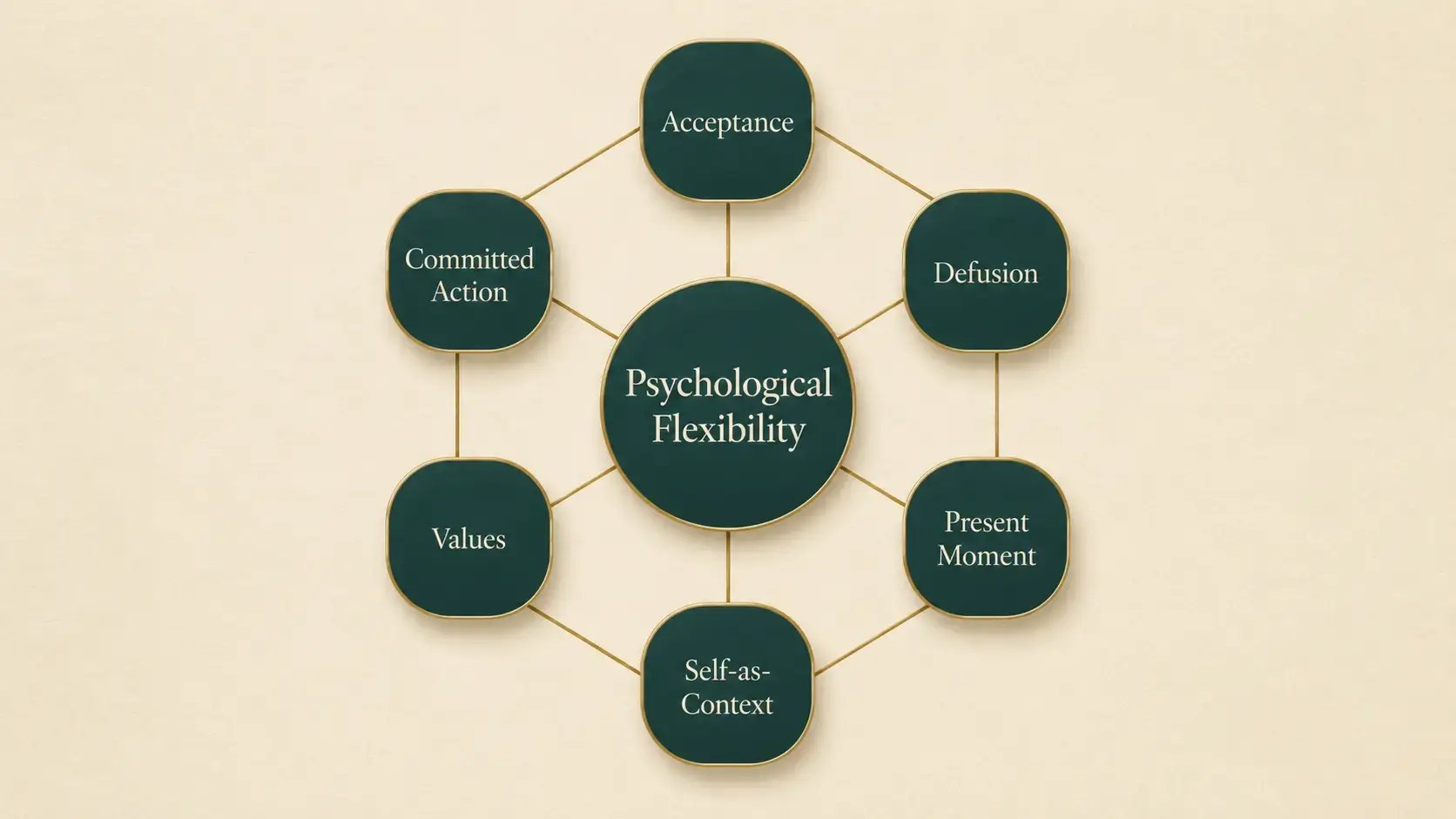 An editorial illustration of the ACT Hexaflex showing the six core processes of psychological flexibility - acceptance, defusion, contact with the present moment, self-as-context, values, and committed action - arranged as connected nodes around a central hub labeled psychological flexibility, rendered in deep teal and warm gold on a cream background
