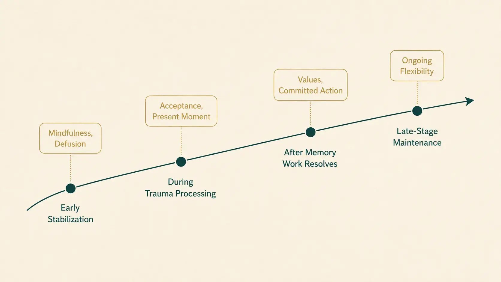 An editorial illustration of the trauma treatment arc showing four sequential phases - early stabilization, during trauma processing, after memory work has resolved, and late-stage maintenance - rendered as a flowing horizontal timeline with ACT skills overlaid at each phase