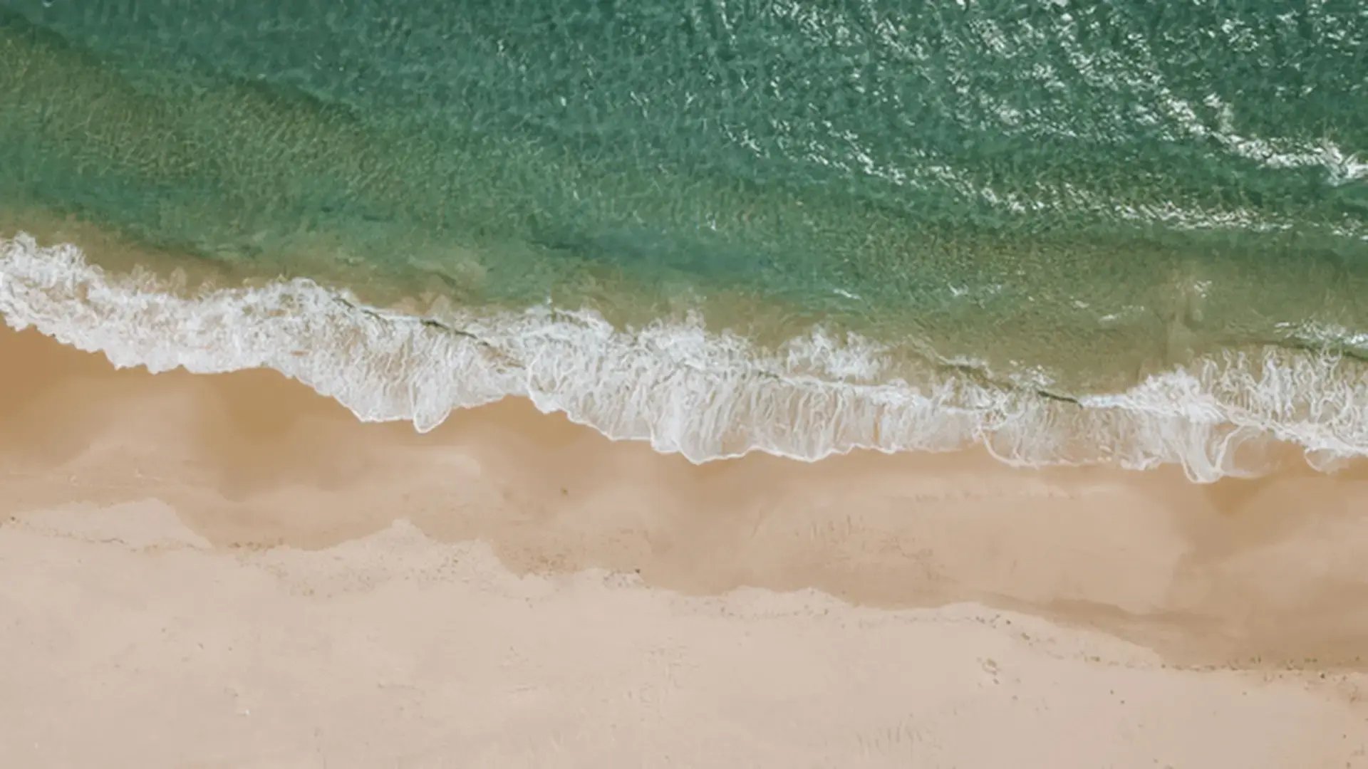 Aerial view of a turquoise ocean wave gently meeting a sandy shoreline Trauma Therapist Institute