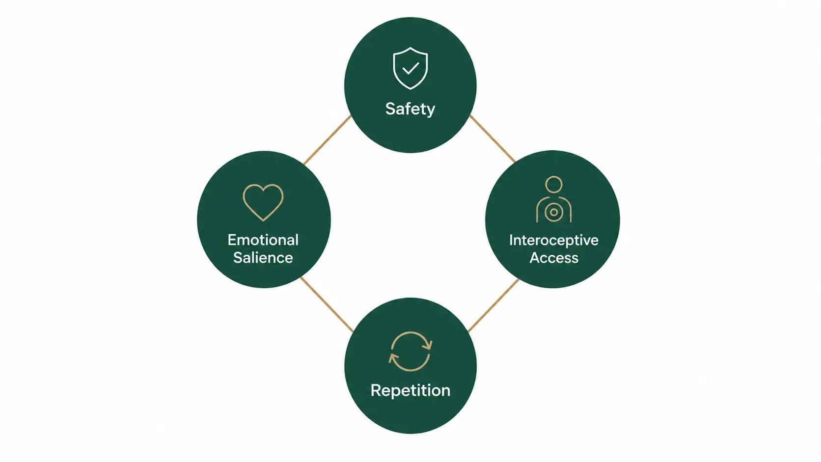 Four connected circles labeled safety, emotional salience, interoceptive access, and repetition, representing the conditions the brain needs for adaptive updating.