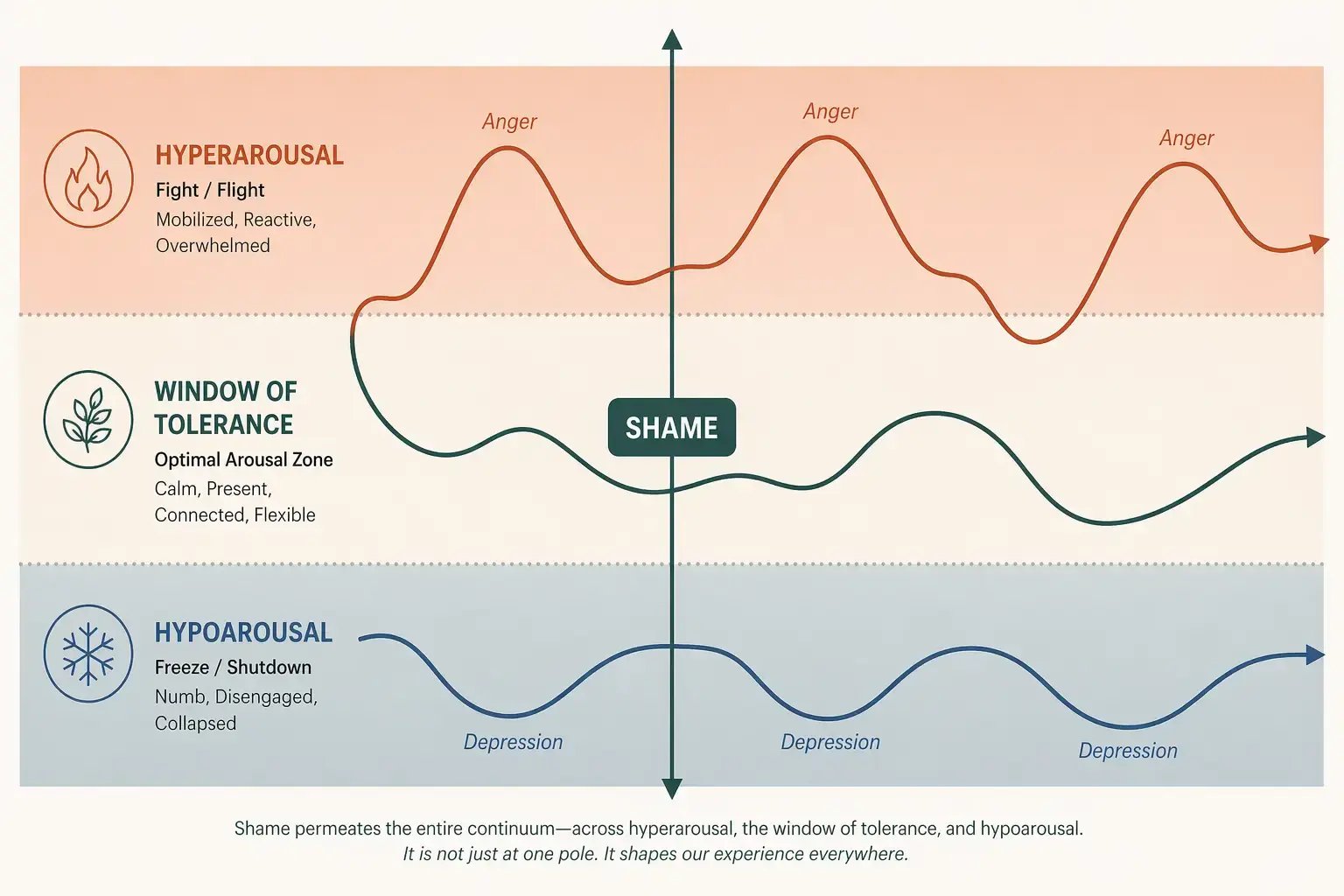 Arousal and Emotional Regulation Model Trauma Therapist Institute