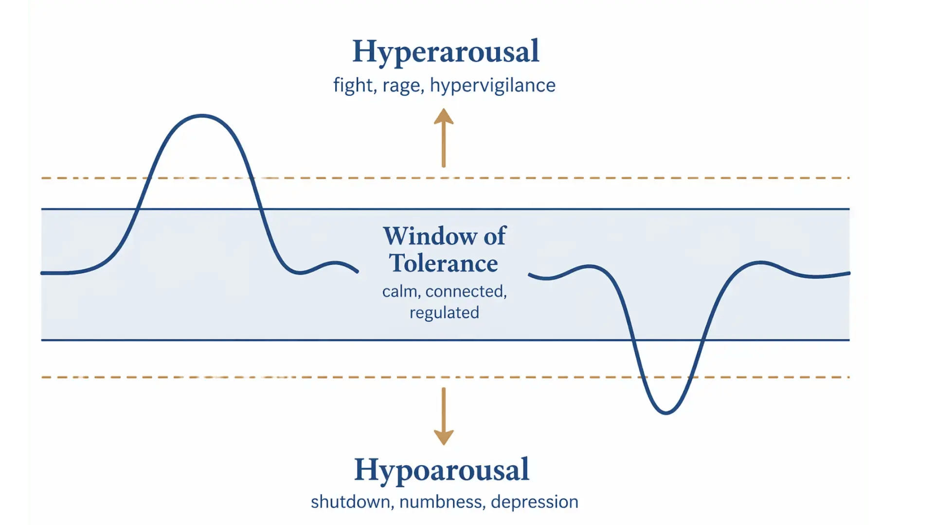 Window of Tolerance diagram showing hyperarousal above the window with fight, rage, and hypervigilance, a calm and regulated state within the window, and hypoarousal below with shutdown, numbness, and depression TTI