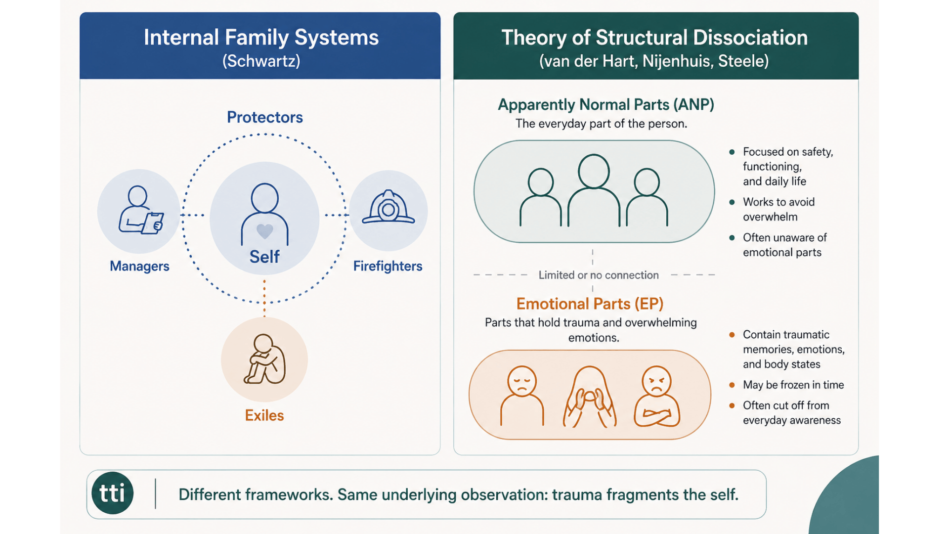 ifs-vs-structural-dissociation-comparison-TTI