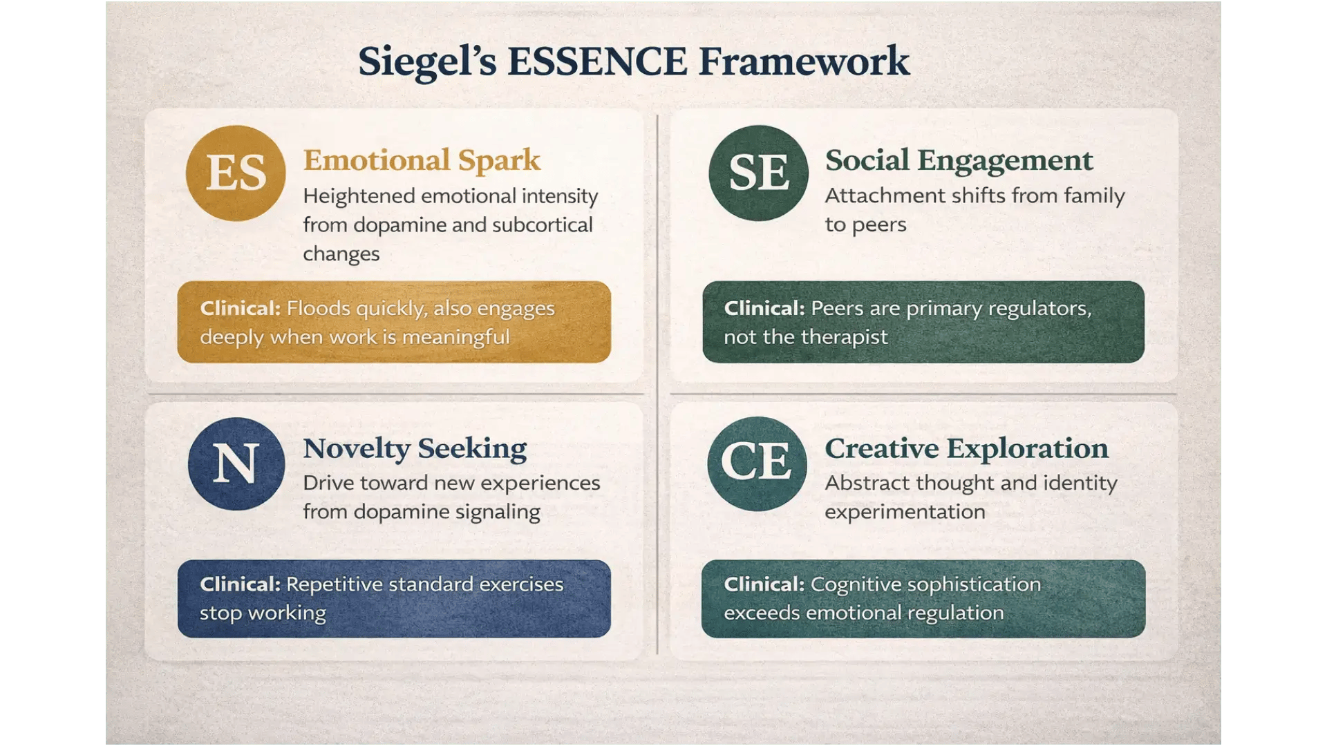 A clean, four-quadrant infographic titled "Siegel’s ESSENCE Framework." Each quadrant has the letter combination, the full name, a one-sentence description, and a clinical implication. ES (Emotional Spark): heightened emotional intensity from dopamine and subcortical changes / Clinical: floods quickly, also engages deeply when work is meaningful. SE (Social Engagement): attachment shifts from family to peers / Clinical: peers are primary regulators, not the therapist. N (Novelty Seeking): drive toward new experiences from dopamine signaling / Clinical: repetitive standard exercises stop working. CE (Creative Exploration): abstract thought and identity experimentation / Clinical: cognitive sophistication exceeds emotional regulation.
