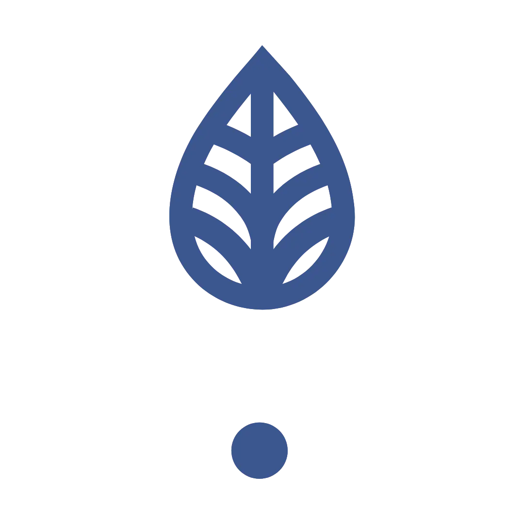 Lapis - leaf - TTI