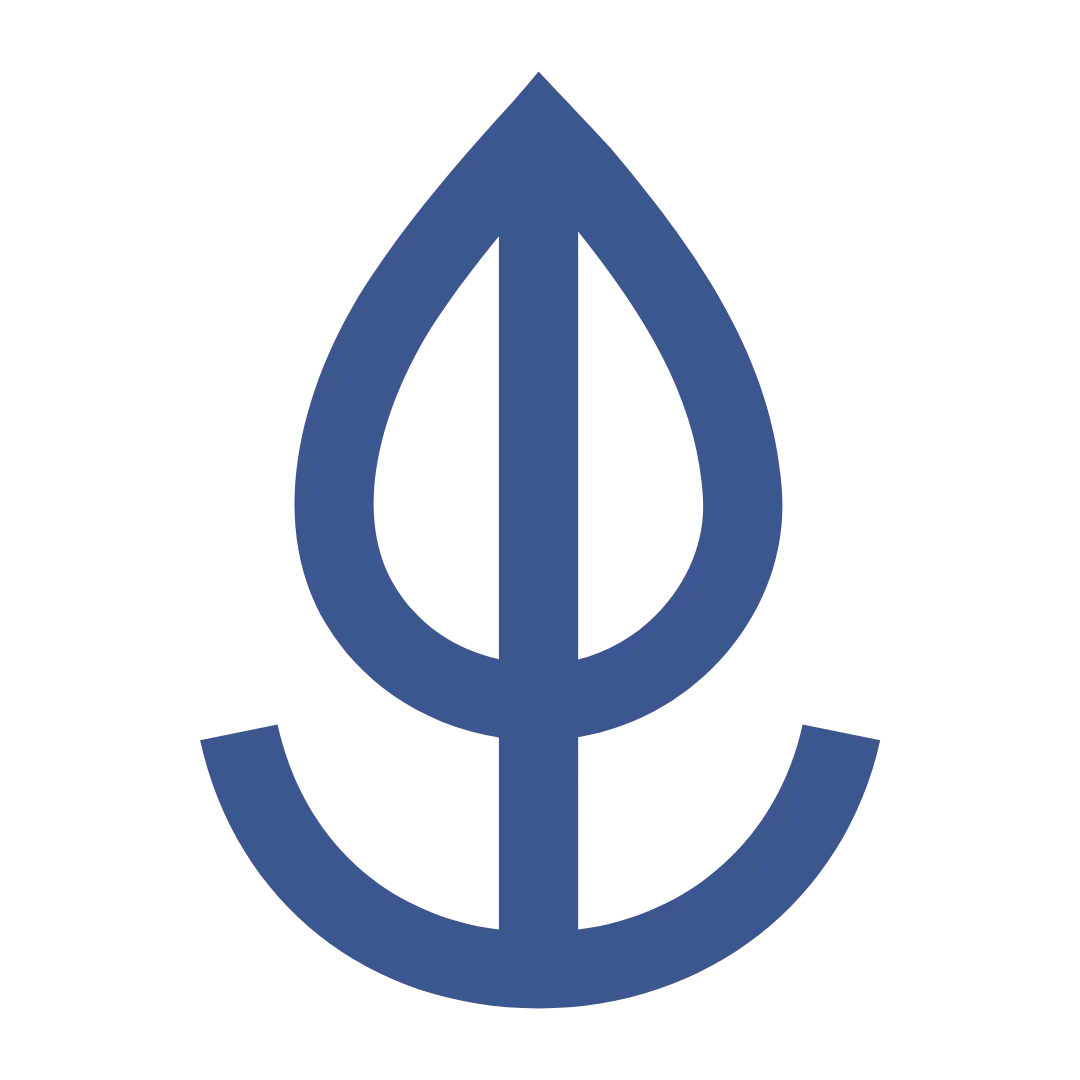 Lapis - anchor - TTI